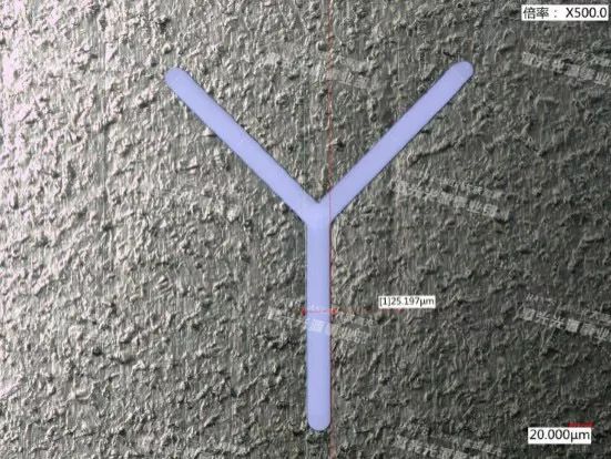 Y形异形孔-放大500倍
